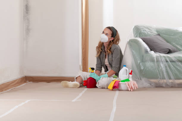 Reliable Mold Remediation contractor in Woodridge, IL by 24 Hour Mold Removal